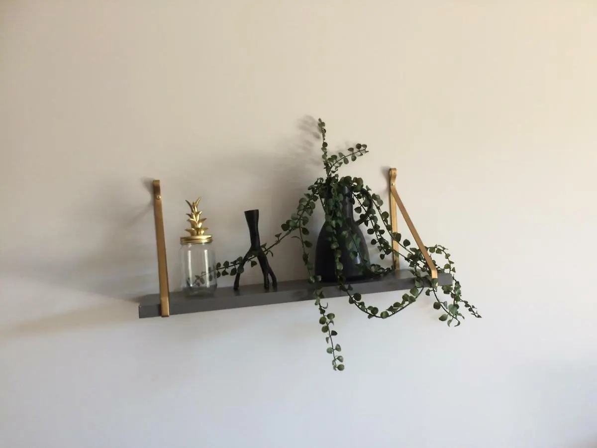阿讷西La Terrasse Saint Jean公寓 公寓